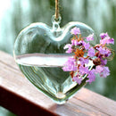 Hanging Glass Flowers Plant Vase Terrarium Container Home Garden Decor Heart