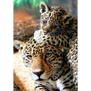 5D DIY Full Drill Diamond Painting Animal Tiger Cross Stitch Kits (K517)