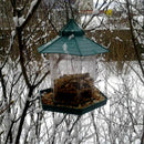 European style wild bird feeder Outdoor bird feeders food container Hanging