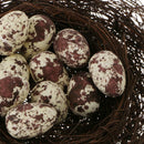 Set of 10pcs 1.2'' Speckled Decorated Faux Eggs Home Nature Craft Decor -YLW