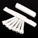 Perfect Acoustic Guitar Cattle Bone Acoustic Guitar Nut & Saddle & Bridge Pins