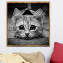 5D DIY Full Drill Diamond Painting Cross Stitch Embroidery Home Art (Cat07)