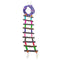 Colorful Bird Ladder Bridge Helps Birds with Balance , Durable & Flexible, Easy