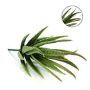 Artificial Succulents Craft Floristry Decoration Plastic Plants Aloe Simula F5L6