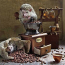 5D Diy Embroidery Diamond Painting Hedgehog Diamond Animals Full Square Dec Q9E1