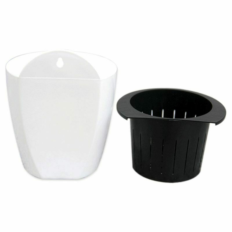 Plant Flower Pot Wall House Garden, Small