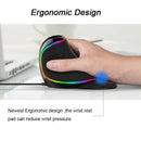 Delux M618 Plus Vertical Mouse Ergonomic Right Wired RGB 6 Button 1600 4000