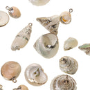 Natural Gilding Conch Shell Beads Pendants Charms for Jewelry Making Crafts