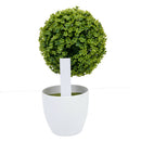 100 x Plastic Garden Plant Labels Nursery Stake Tags Plant Care White