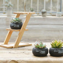 1 Set Cement Succulent Planter Pot Geometric Flower Pot 3 Bonsai Cactus Pla