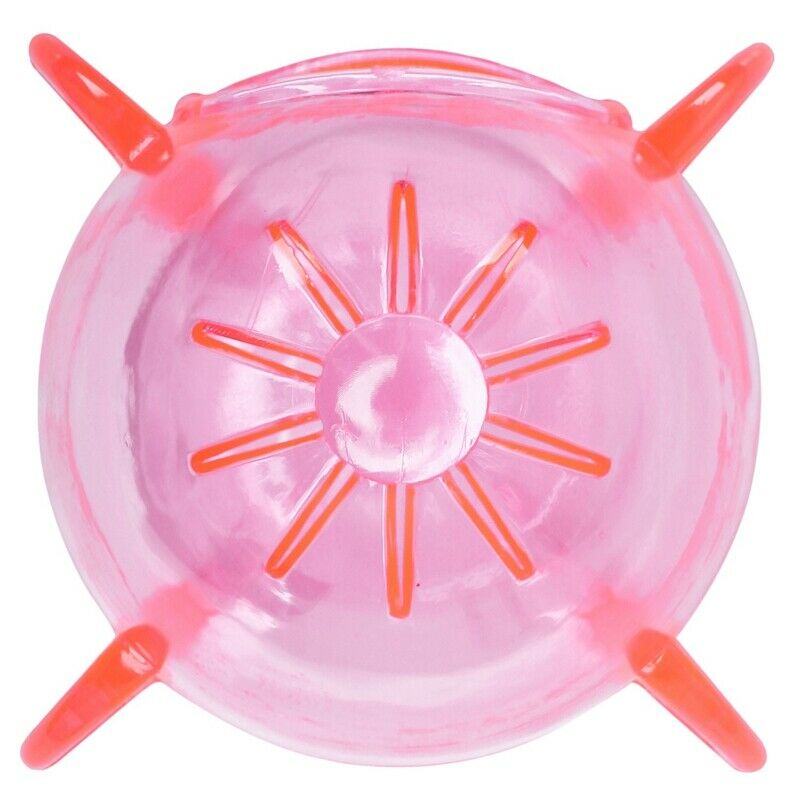 Gerbil Mouse 2 Entrance Holes Hamster House Cage Random