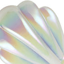 Anti-Knotted Shell Hair Comb Massage Comb Hair Brush Comb Professional Wome