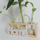 1X(Small Fresh Transparent Glass Vase Hydroponic Green Plant Container Livi