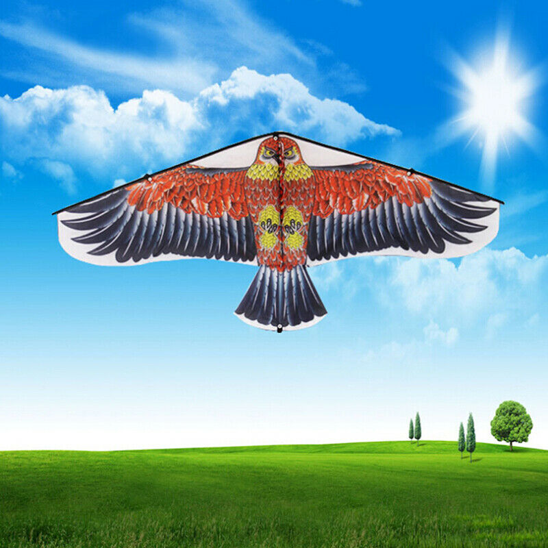 1Pc 1M Flat Eagle Kite With 50M Kite Line Children Flying Bird Kites Outdoor  Pg