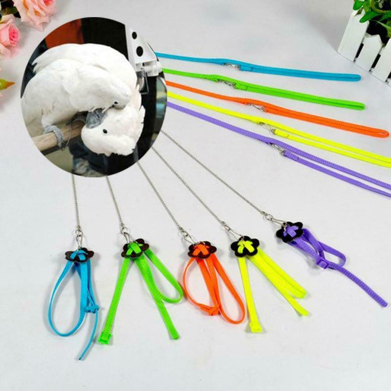 Bird Parrot Adjustable Harness & Leash Anti-bite Multicolor Light Soft