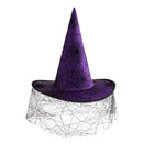 Womens Girls Gothic Halloween Purple Witch Costume Hat with Spiderweb Veil