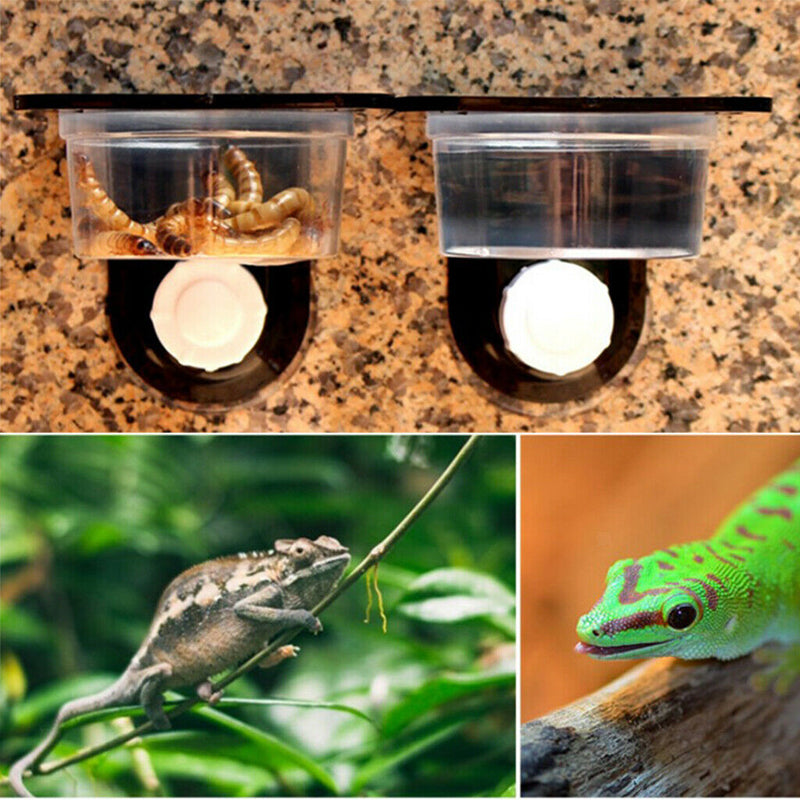 2Pack Small Pets Reptiles Lizard Spider Cricket Gecko Chameleon Food Bowls