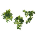 3 Pcs Plastic Plant Aquarium Ornament Fish Tank Desert Reptile Decoration