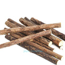 25pcs Pure Catnip Cleaning Teeth Sticks Toothpaste Cat Wood Cat Snacks Natural