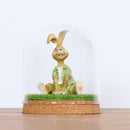 Glass Display Cloche Bell Jar Plants Flower Preservation Vase Wood Cork S