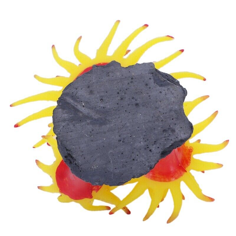 Concrete Base Silicone Coral Anemone Aquarium Plant Decoration, Yellow K9P9