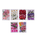 2x Multiple Pressed/Dried Leaves Flowers Scrapbooking Art Craft DIY Material