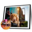 Full Round Drill Rhinestone Picture DIY Waiting Dog Mosaic Diamond Painting