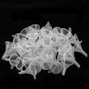 50 Pieces Funnels For Filling Perfume Diffuser Bottle Liquid Oil Round