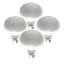 4 Pcs Reptile Daylight Basking Spot Lamp Heat Lighting Bulb Sun Light 50W
