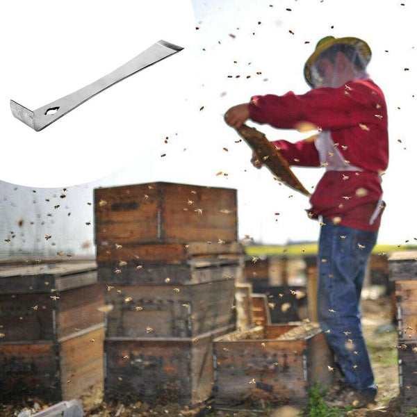 Stainless Steel Flat Beekeeper Scraper Beekeeping Equipment Tools Scraper