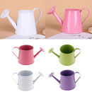 4x Pastoral Colorful Metal Tin Flower Pot Mini Bonsai Watering Kettle Can