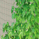 Garden Green Nylon Trellis Netting Support Climbing Plant Nets Grow Fence U6K9