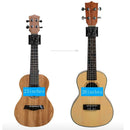 Pro 4 String Ukulel Guitar Chords  Teaching Aid