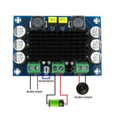 1X(Dc 12V 24V 100W Tpa3116 D2 Da Mono Channel Digital Power Audio Amplifier