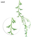100xDOLPHIN NECKLACE - String of Dolphins - Senecio Peregrinus Succulent Plant