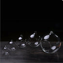 Hanging Glass Flower Vase Bottle Hydroponic Terrarium Container Decor - 15c J3M3