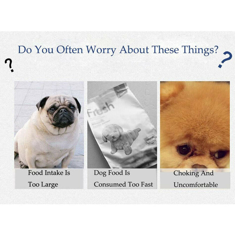 Pet Slow Feed Bowl Portable Dog Foods Bowl Prevent Obesity Feeder (Green) A