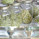 Set Of 3 Stainless Steel Sprouting Jar Lid Kit For Superb Ventilation Fit F D7K4