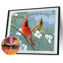 5D DIY Full Round Drill Diamond Painting Bird Cross Stitch for Gift (B1019) A