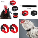 36x Chicken Collar Free Neckband Prevent Chicken from Screaming for Duck