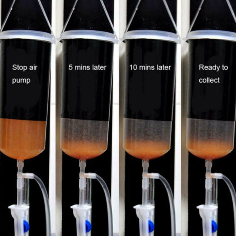 Brine Shrimp Incubator Fish Food Baby Fish Feed Fairy Shrimp Egg Hatch Tool