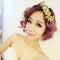 Elegant Hair Combs Headdress For Bride Handmade Wedding Accessories Hair Pe Y3O0