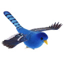 3 Pcs Foam Simulated Colorful Birds with Clip DIY Craft Ornaments Gardens Home