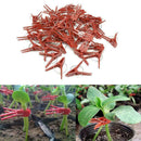 50x Gardening Grafting Clips For Home Garden Vegetable Bushes Vine Flower Q6R4