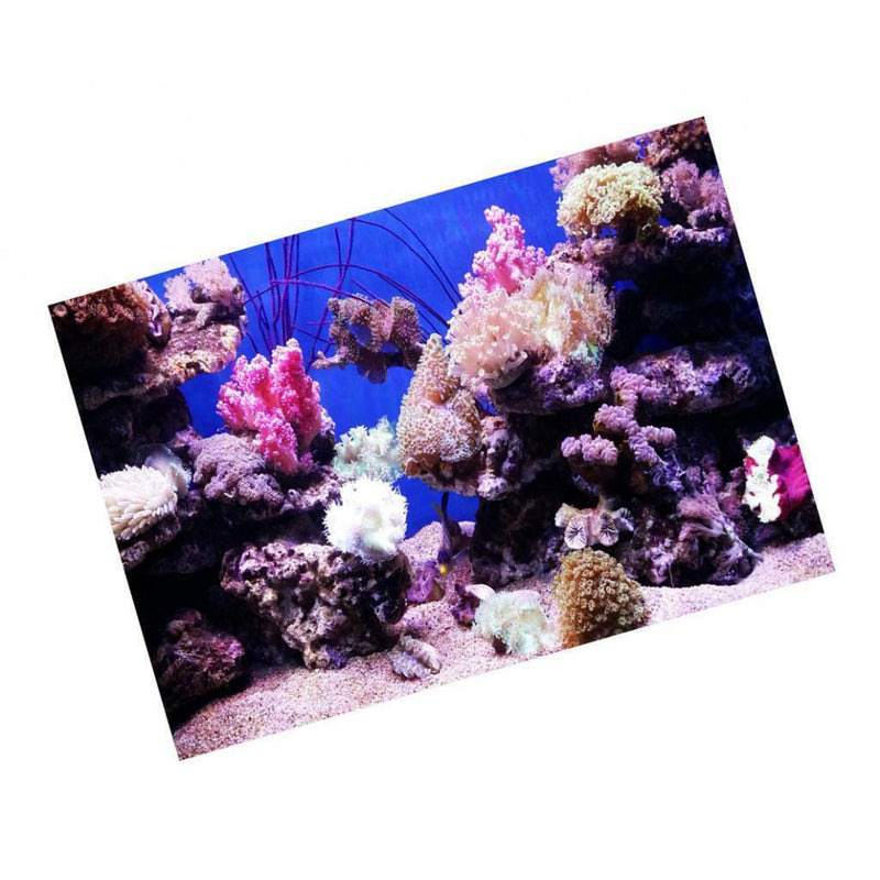 Vivid Aquarium Undersea Background, Non-toxic Adhesive Poster Fish Tank Decor