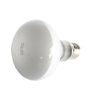 2 pcs 50/75W Day Light Basking Heat Spot Lamp Bulb Heater Animal Reptile