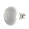 2 pcs 50/75W Day Light Basking Heat Spot Lamp Bulb Heater Animal Reptile