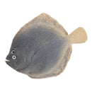 Vividly Artificial Simulation Turbot   for Aquarium   Tank Decor