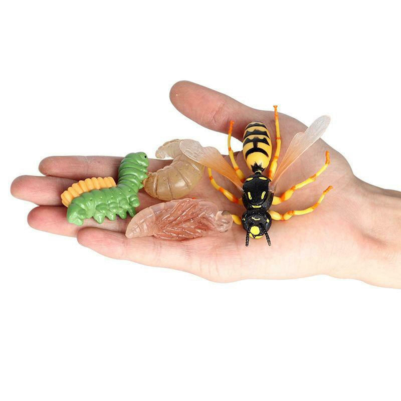 Lot of 4 Nature Wasp Growth Cycle Child Education Learning Teaching Toys
