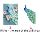 Beautiful Bird DIY Diamond Painting Embroider Round Rhinestone Cross Stitch